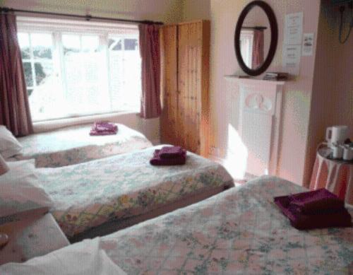 קרנלי The Cranley Hotel מראה חיצוני תמונה